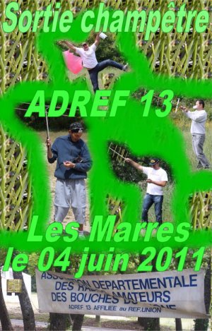affichelesmarres2011g.jpg